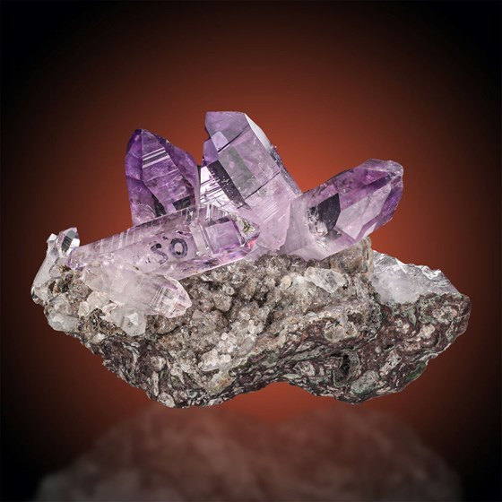 Amethyst-Las Vigas de Ramírez | Veracruz | Mexico